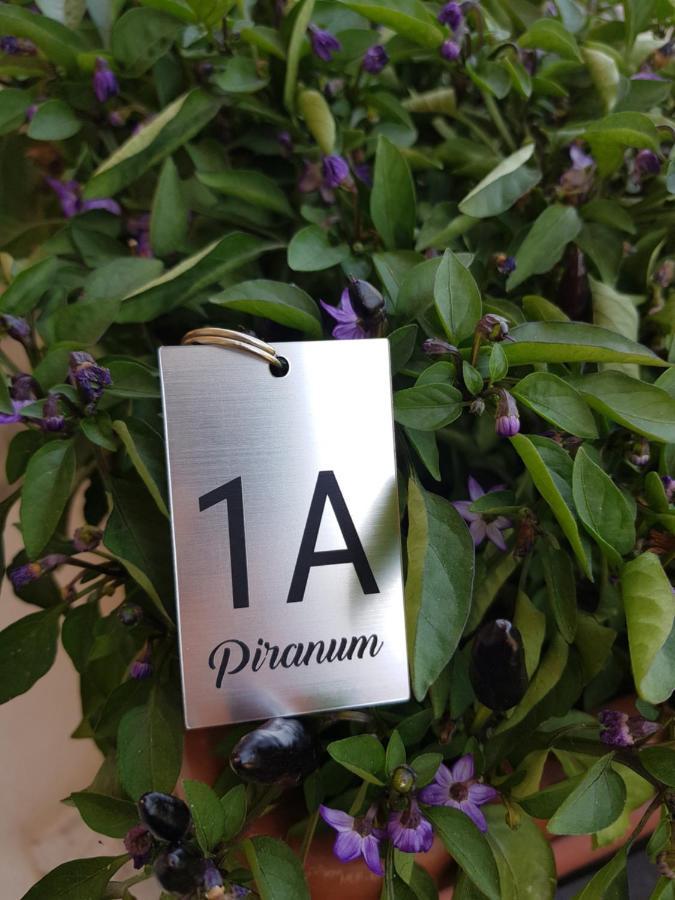Piranum Guesthouse エクステリア 写真